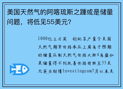 美国天然气的阿喀琉斯之踵或是储量问题，将低见55美元？ 